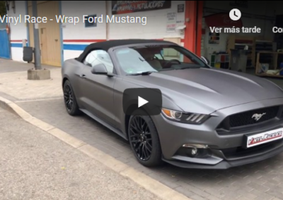 Ford Mustang 3M M261 Matte Dark Grey